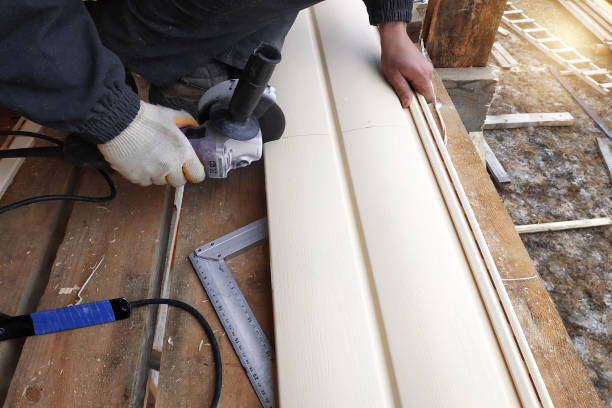 Best Vinyl Siding Installation  in Folkston, GA