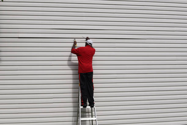 Best Steel Siding Installation  in Folkston, GA