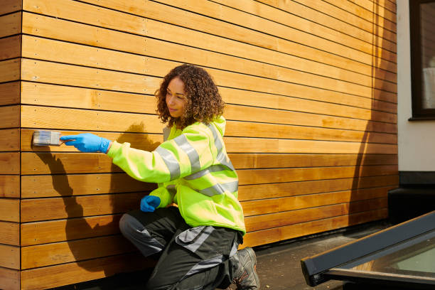 Best Siding for New Construction  in Folkston, GA